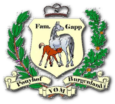 Ponyhof vom Burgenland - Kleinanzeigen